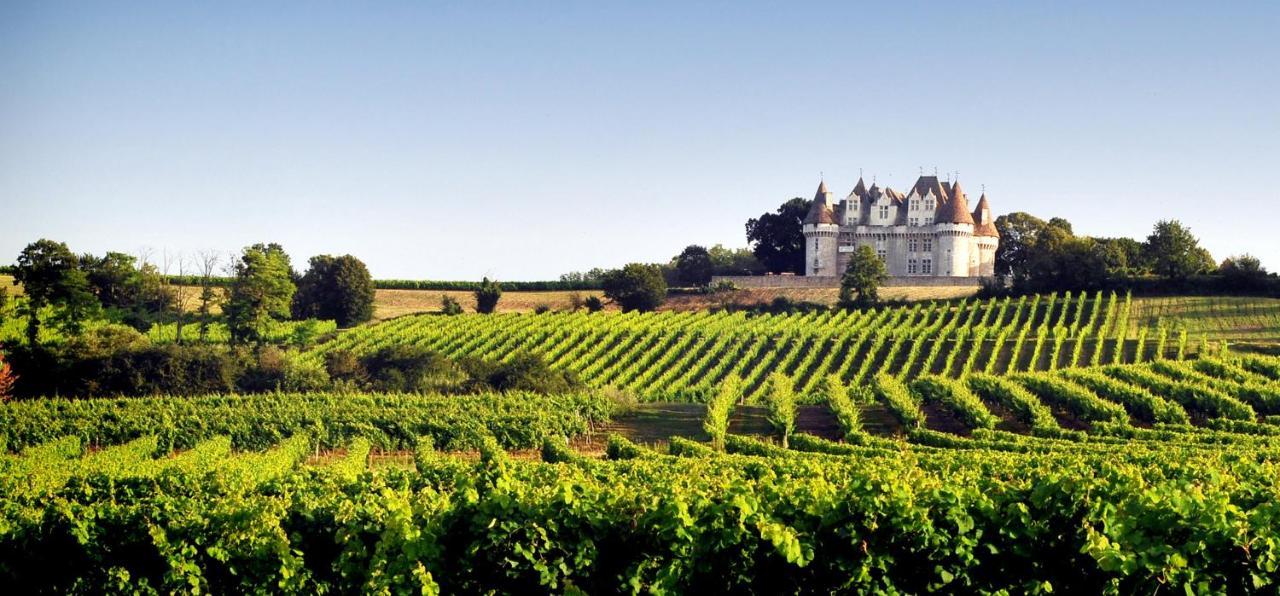 Perigourdine Avec Spa Et Vue Pomport Esterno foto